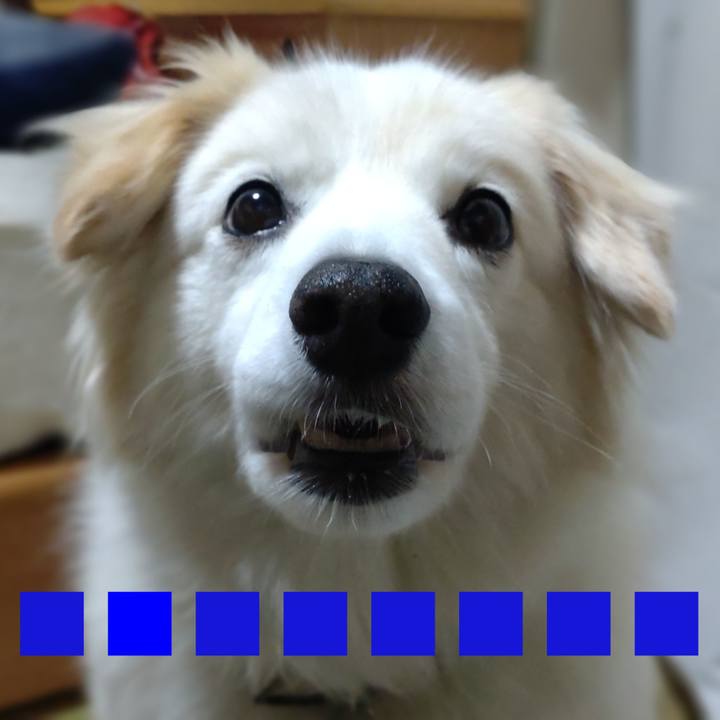 C072bb55 9cc9 4ef5 a78a cd2262d6a5a1 1650570351137