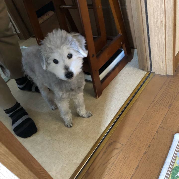 C072ce76 4bb0 4f54 95ba 7bc0aea6b314 1617838844115