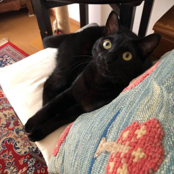 C072dbaa 3779 4310 bc2d 7ea585d0dd5e 1543719695744