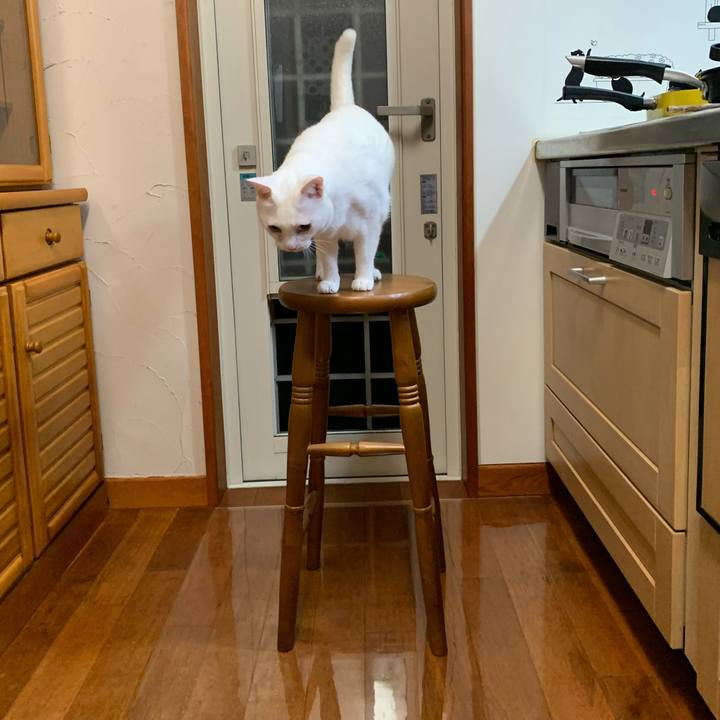 C0731bb2 fa94 4717 ab42 147a9a7a738a 1633516331202