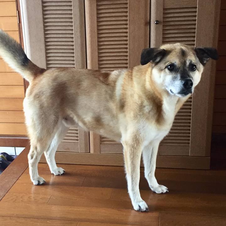 C07322ac 6c4a 475a af00 2023673d702b 1530321834885