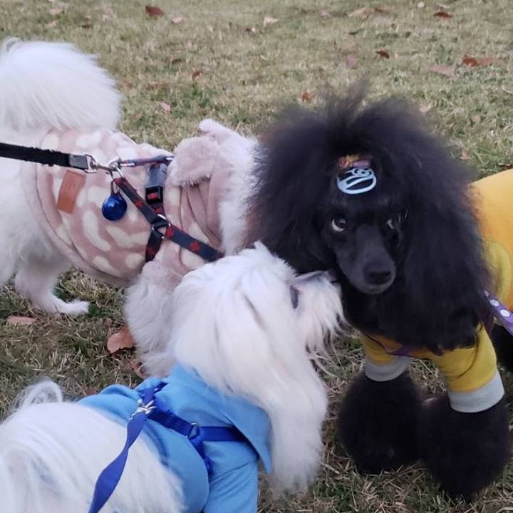 C0734f68 3351 4ef5 b5b0 cec212e98552 1675044065863