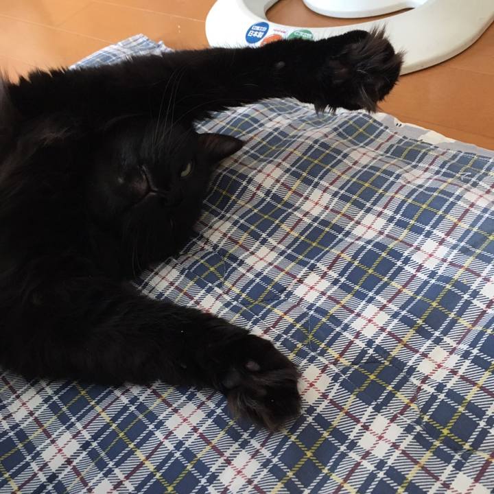 C0737299 d907 4c5a 90d5 46906ff1d67b 1512603142180