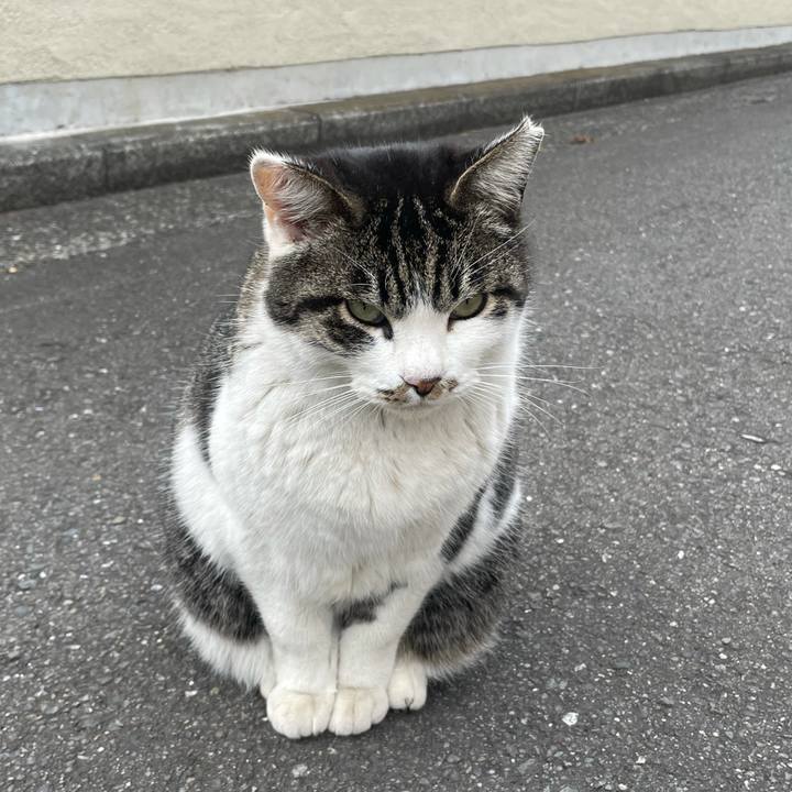 C0738109 c968 44bf 919a 6506d731c70e 1610680233294