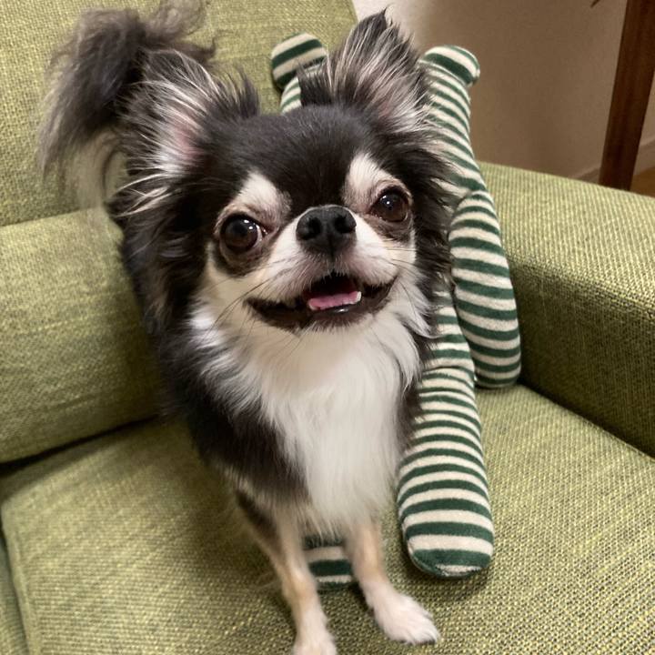 C073823e cef0 49f9 a1b2 d9a75a1bca4b 1661697054644