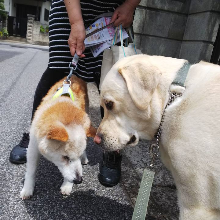 C0738ab6 7ff8 473e aaa9 d1d552325218 1526100478006