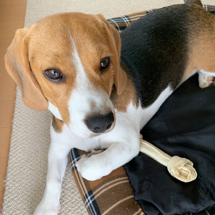 C073b73f bf34 4a61 b49b 6fa3efb3ceab 1625055881934