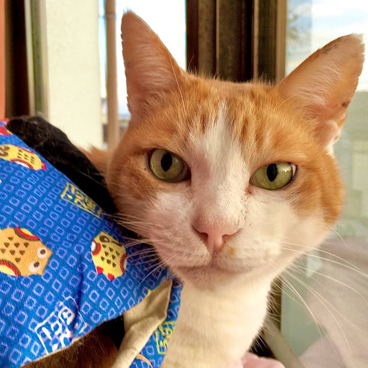 C073d04d 471c 416c 826a 1252b864b12b 1574419150444