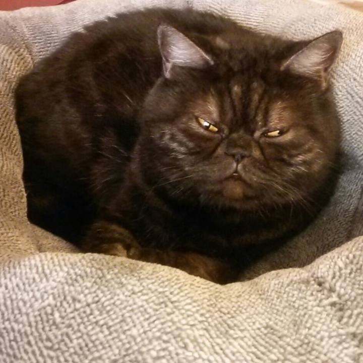 C073d8d6 a970 4945 9907 7360d62b60c9 1512885719823