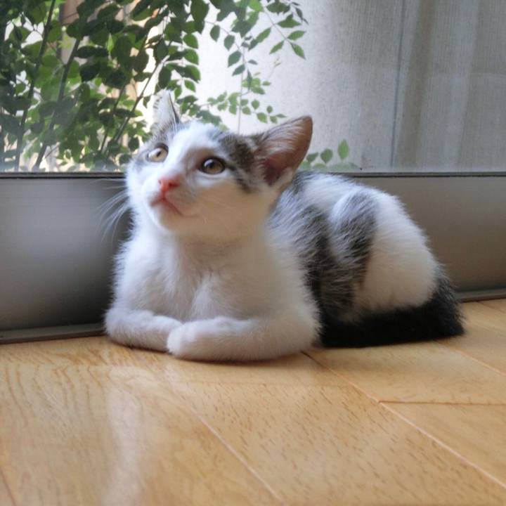 C0743872 eacb 48f7 8251 692ff5fe6e52 1562284218299