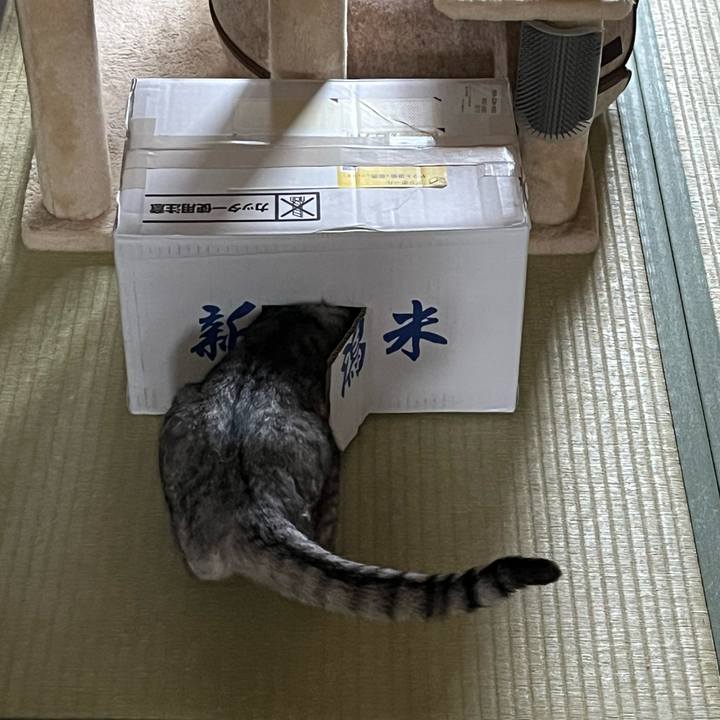 C0745348 fcca 4a89 9c8e 6ae3b7001613 1767395964672