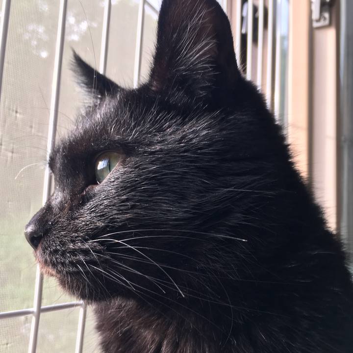 C0746a42 189c 47ff 814c 4a811ddf6f93 1562447393348