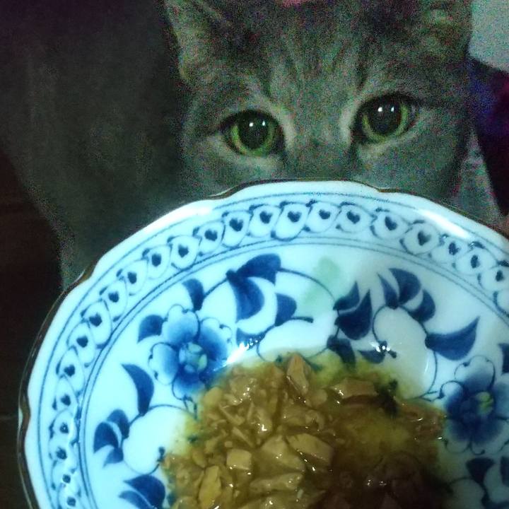 C074870f 791b 4fd0 8649 dabd9748cc76 1680262325796