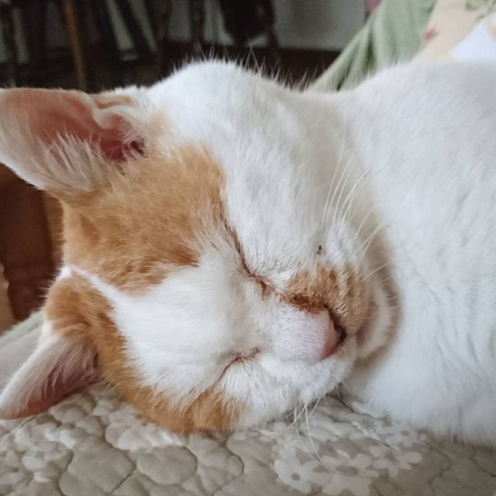 C0749ca9 5a8d 401f a427 2923e1f2406b 1688282286709