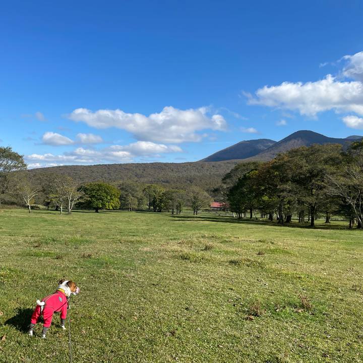 C074af39 5adf 4e3a b6ff 3239cee8bca7 1635057723967