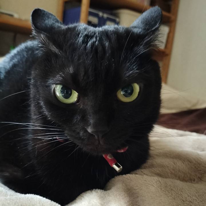 C074c1de 6ecf 4f46 9558 e1ebab58c5dd 1635117741621