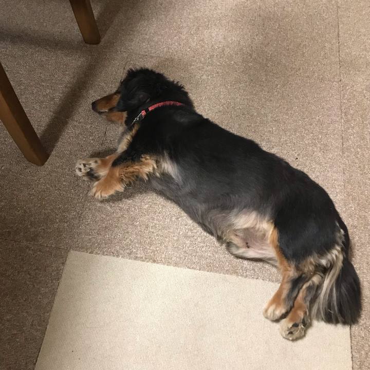 C074ca74 c7b4 4715 8c24 4d5db066c149 1544479221542