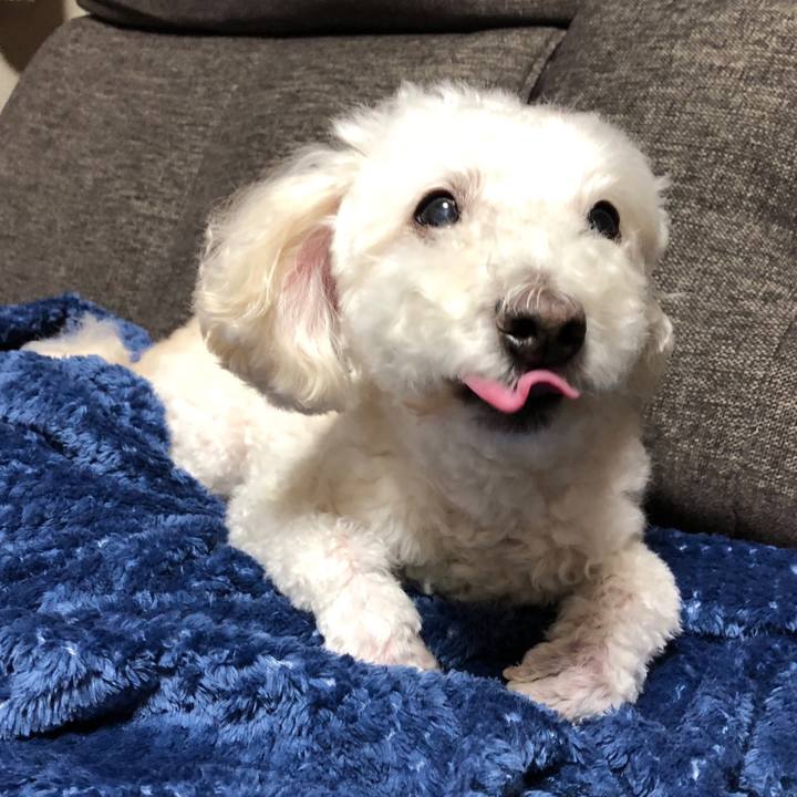 C074da6d 4420 428d 883f 41e2b3519c5c 1542963979818