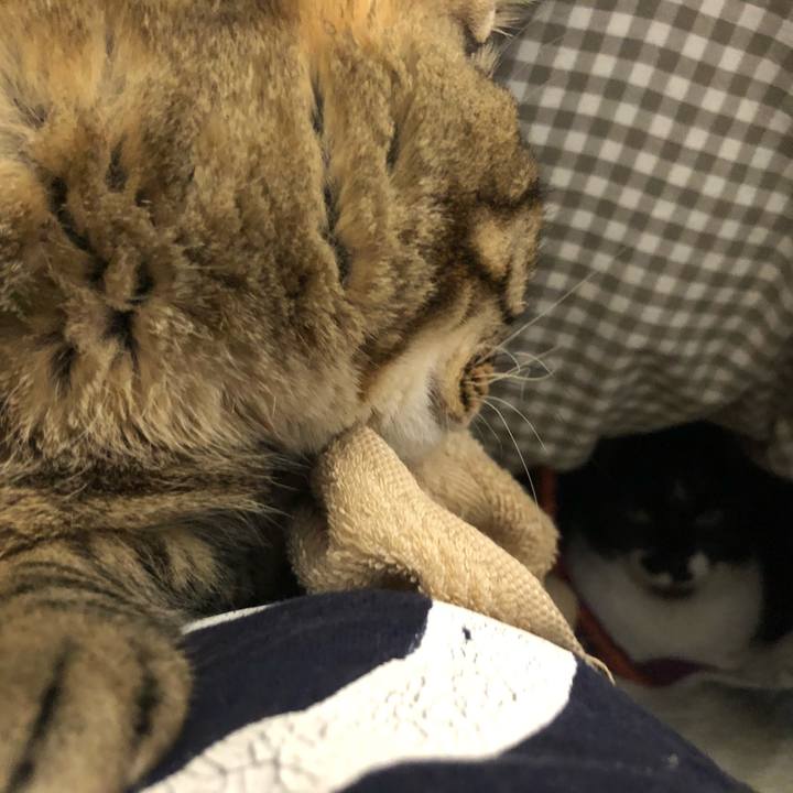 C07529f1 2e0f 4778 bc60 0fabbbd422c8 1580240376668