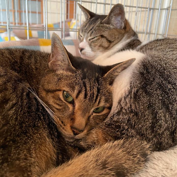 C0754670 b6cc 4b57 bb13 2b61ebe8fdaa 1620870540474