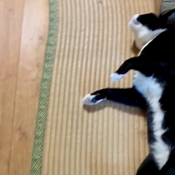 C07568f1 ba7a 431d 8412 920f2550a599 1757153869582