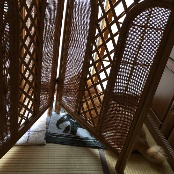 C0756ab1 cdb2 493d b5b7 12bfb1ac6ef4 1566465995898