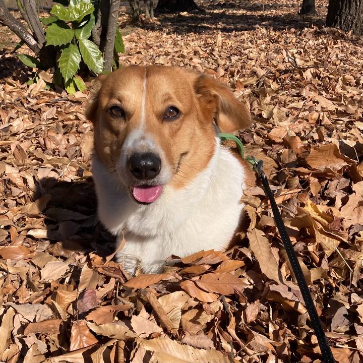 C075a1c4 785d 41a0 b6ec dde01b63f325 1703296787301