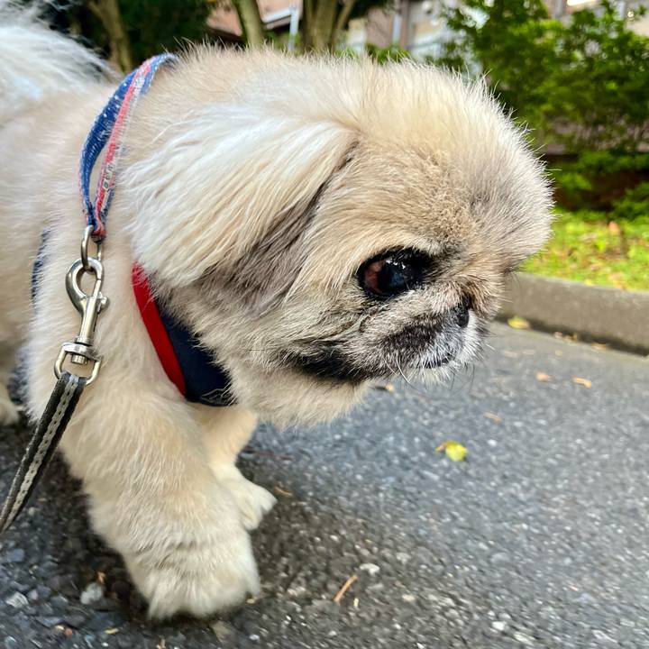 C075b54c 3fe1 41f5 948d b3175e06a002 1749078240634