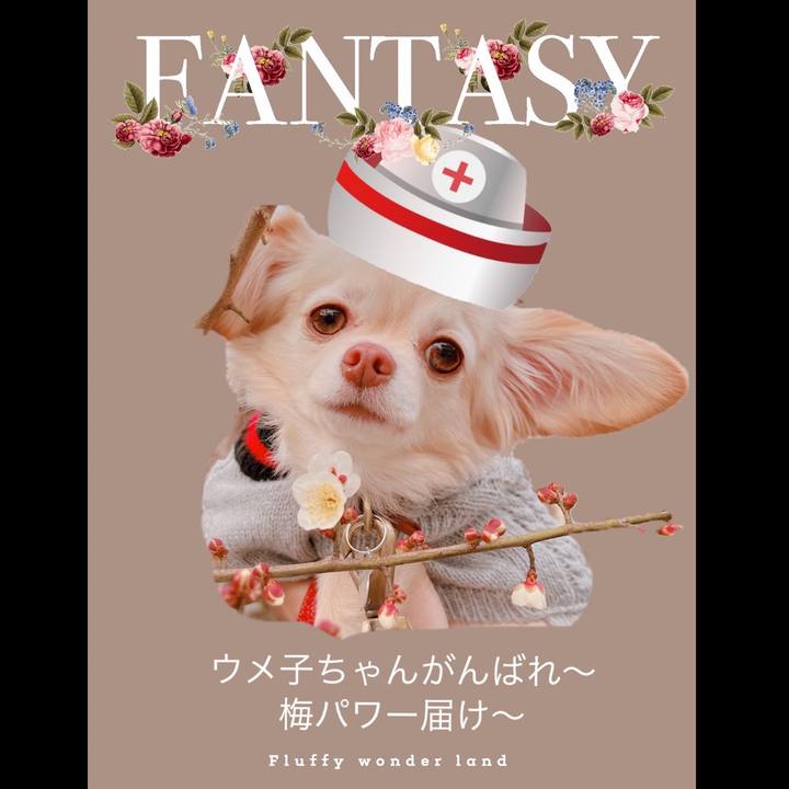 C075d131 cf8e 4dfd a7ba b8a04939347b 1674210542438