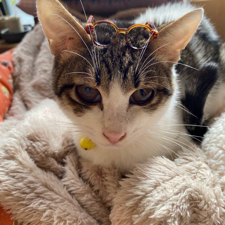 C0763b4d a46f 44a8 83d3 24e819f22f54 1704860001325