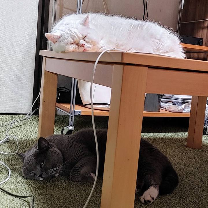 C07686e7 a90d 4ddb 9b4a 9136ae1f0f51 1726316935714