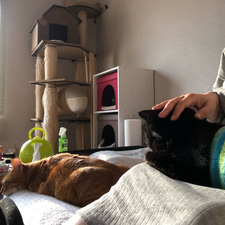 C076bbb0 25df 4d4c b359 9efc43deb583 1587248226434