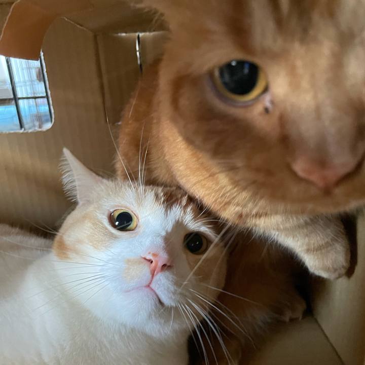 C0770e20 b213 4d47 aad0 d80768a4f990 1627197523171