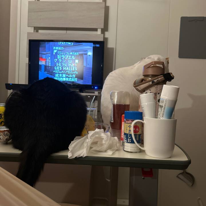 C0771dc7 b832 446b 8aa5 0614e0437ec3 1761839559092