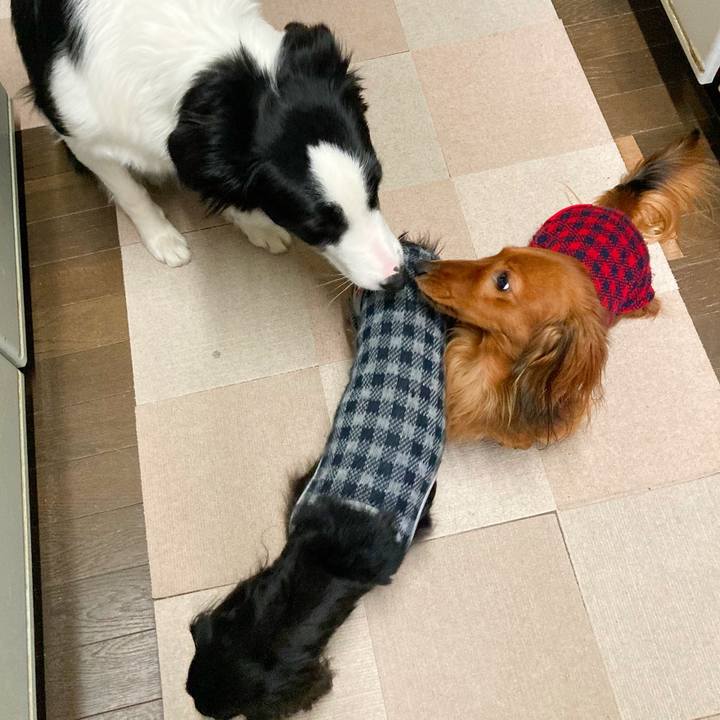 C077340c ce99 484a b998 39dd1225a3fd 1769742160457