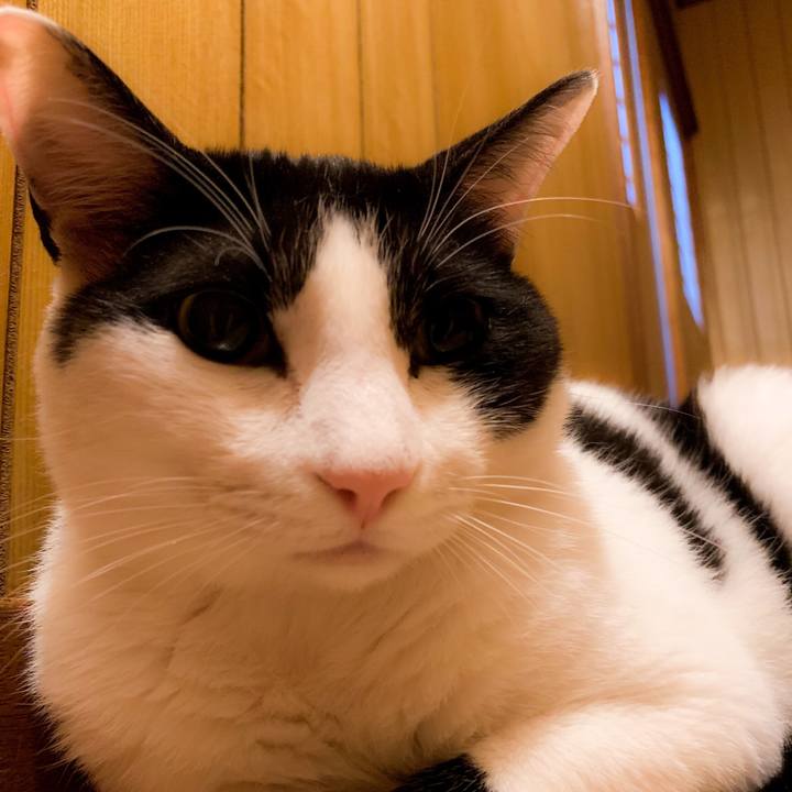 C077430e 500a 4fe4 8774 7a9dcc86473e 1562981051374