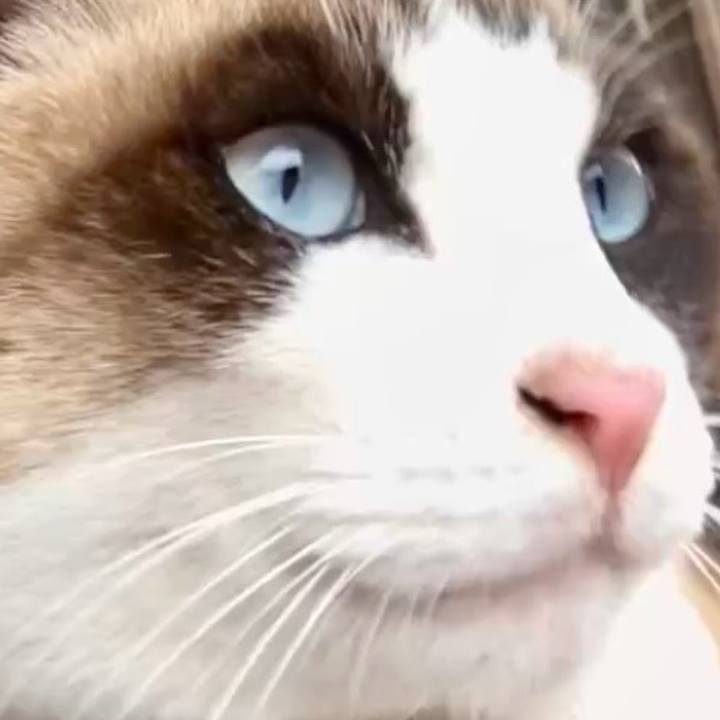 C07746b1 e6d1 43aa b9d5 a87991471d77 1736563771401