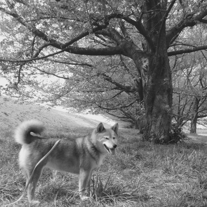 C07760f6 31fd 44e9 b3ce b65ae98e98e3 1523507909684