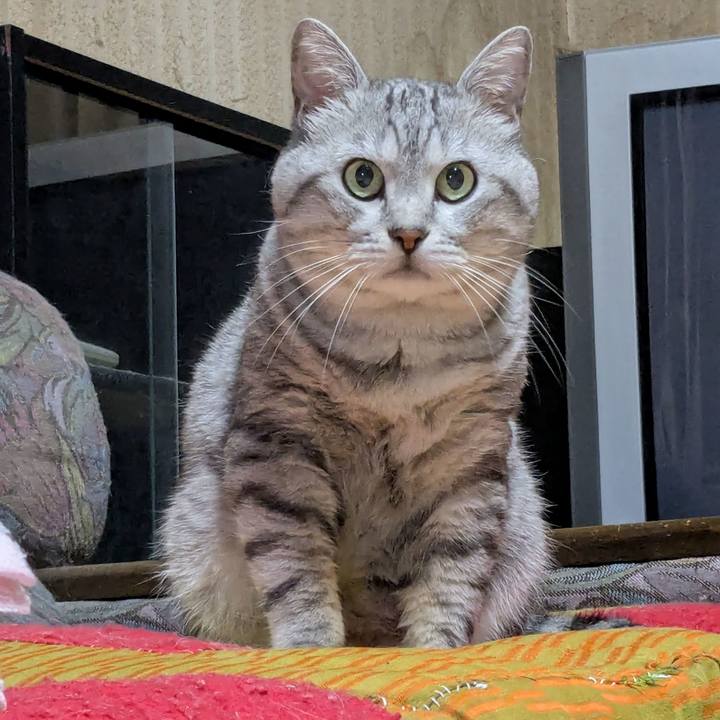 C0776c69 c578 4ab2 b446 34ad7c82d508 1753013098548