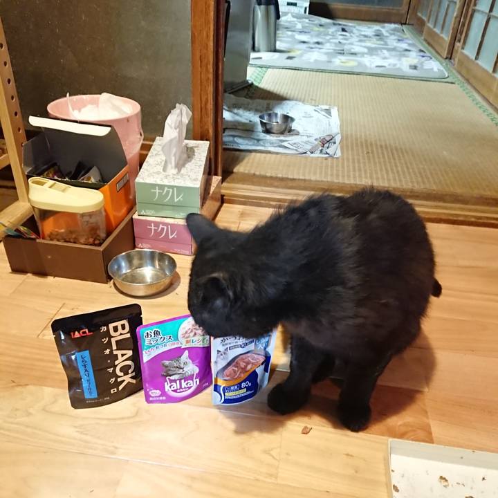 C07783c3 fdc6 413a 9e9e 78fecc49c444 1623497176872