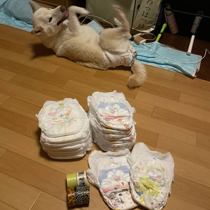 C0779e96 0293 4f98 90cc 55be35c8ad3b 1663438649439