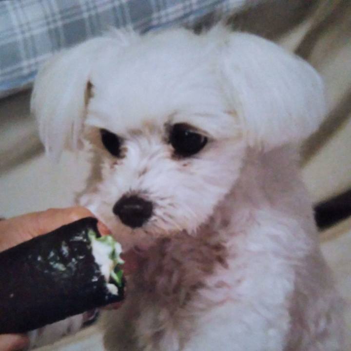 C077a1bd 3829 434a ac2c c05a8d5d3a04 1549179579423