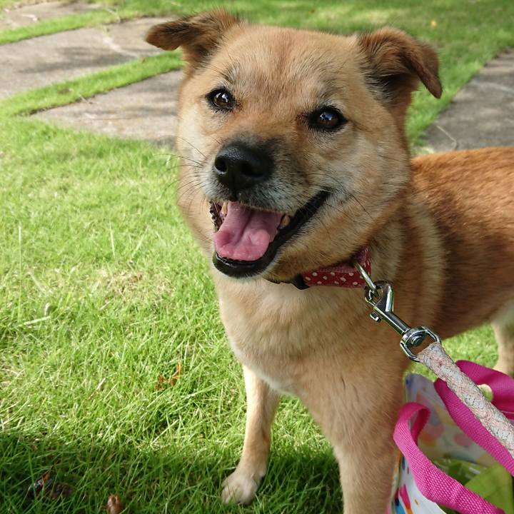 C077b02c a427 4b70 bf7c 05cc064dd50f 1633615177007