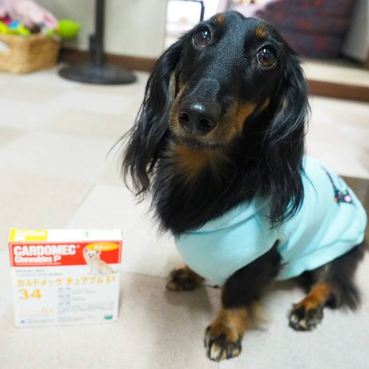 C07851db acc4 48a1 a736 add602c74cac 1508036618368