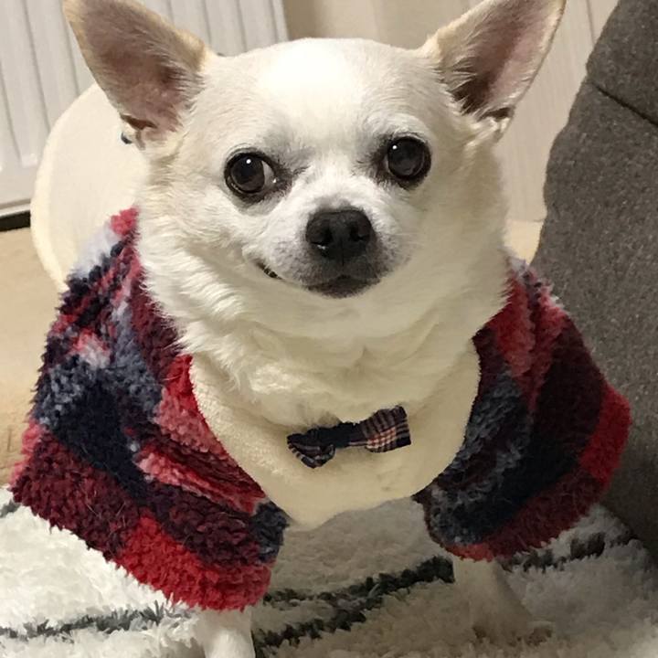 C0787b7c cf7a 4d30 b033 2af7483f53c5 1580567040596