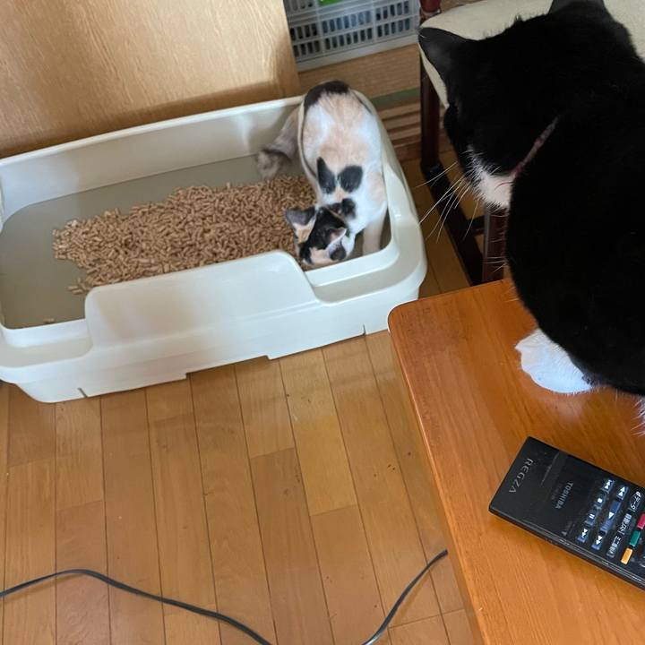 C0788bc8 94e5 4013 9bab 87fe83bcba6d 1666226025489