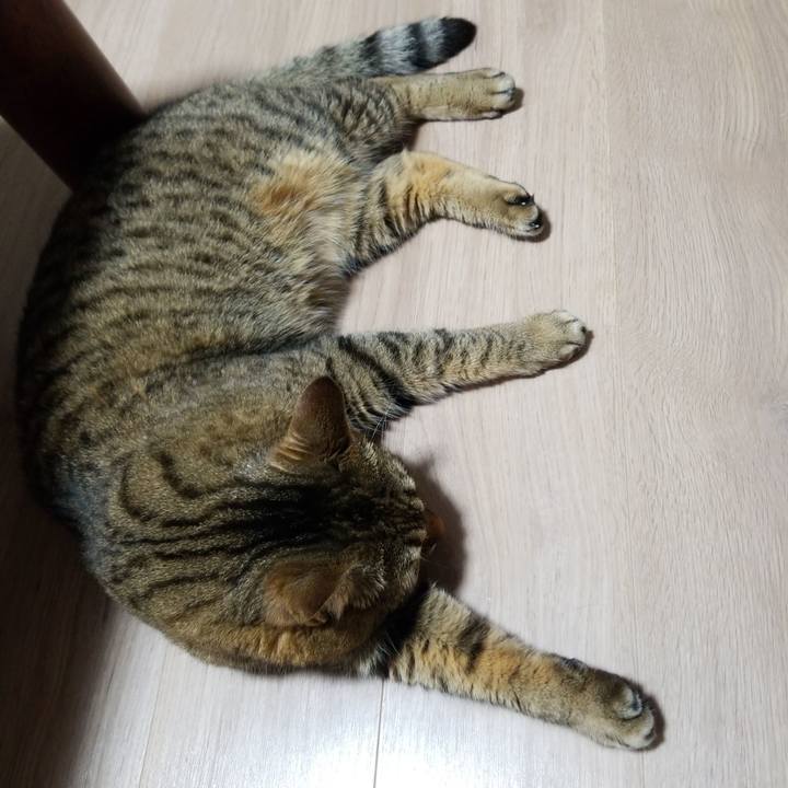 C0788cc7 3d48 475b a4d2 d9e3bf01b7ef 1576792056739