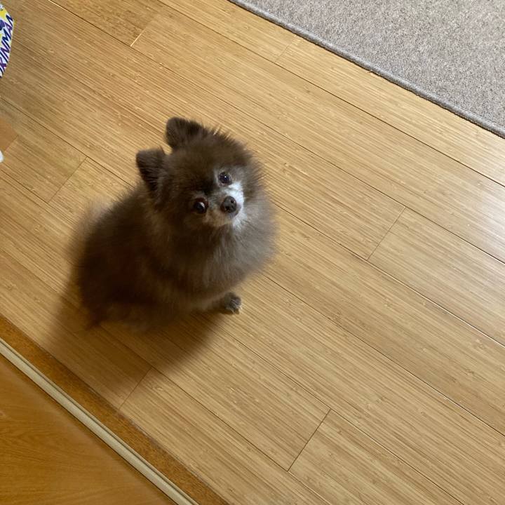 C079012e 1dd2 4561 8f08 8a71bc781e3b 1666999830866