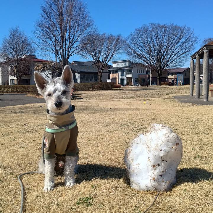 C07907fd 8a4f 4b4b 8813 31a19e1e05bd 1773319046947