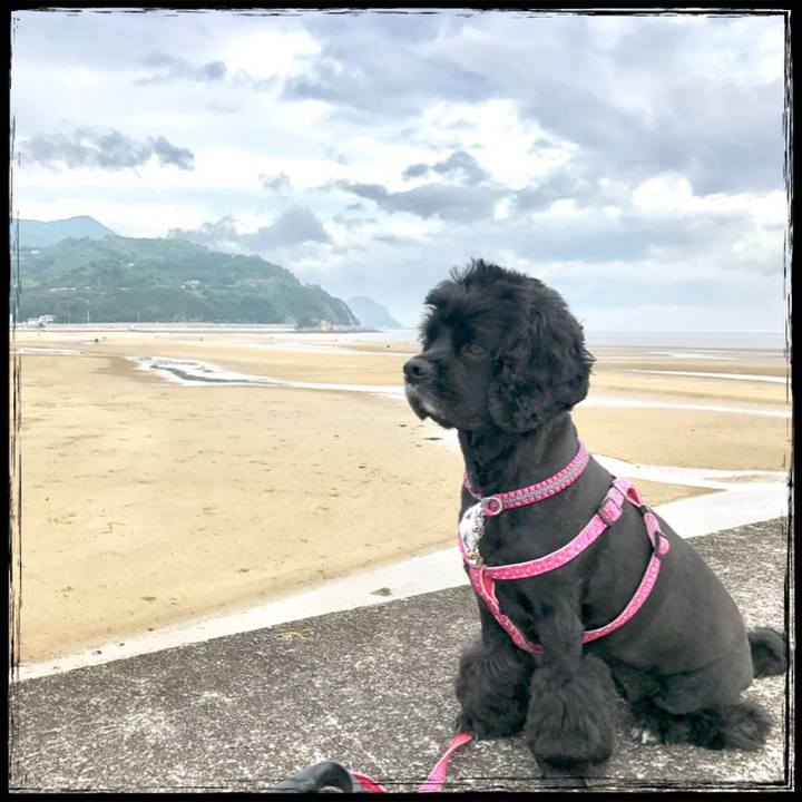 C0791fe2 0193 4499 bc41 be29789631bd 1530354868800